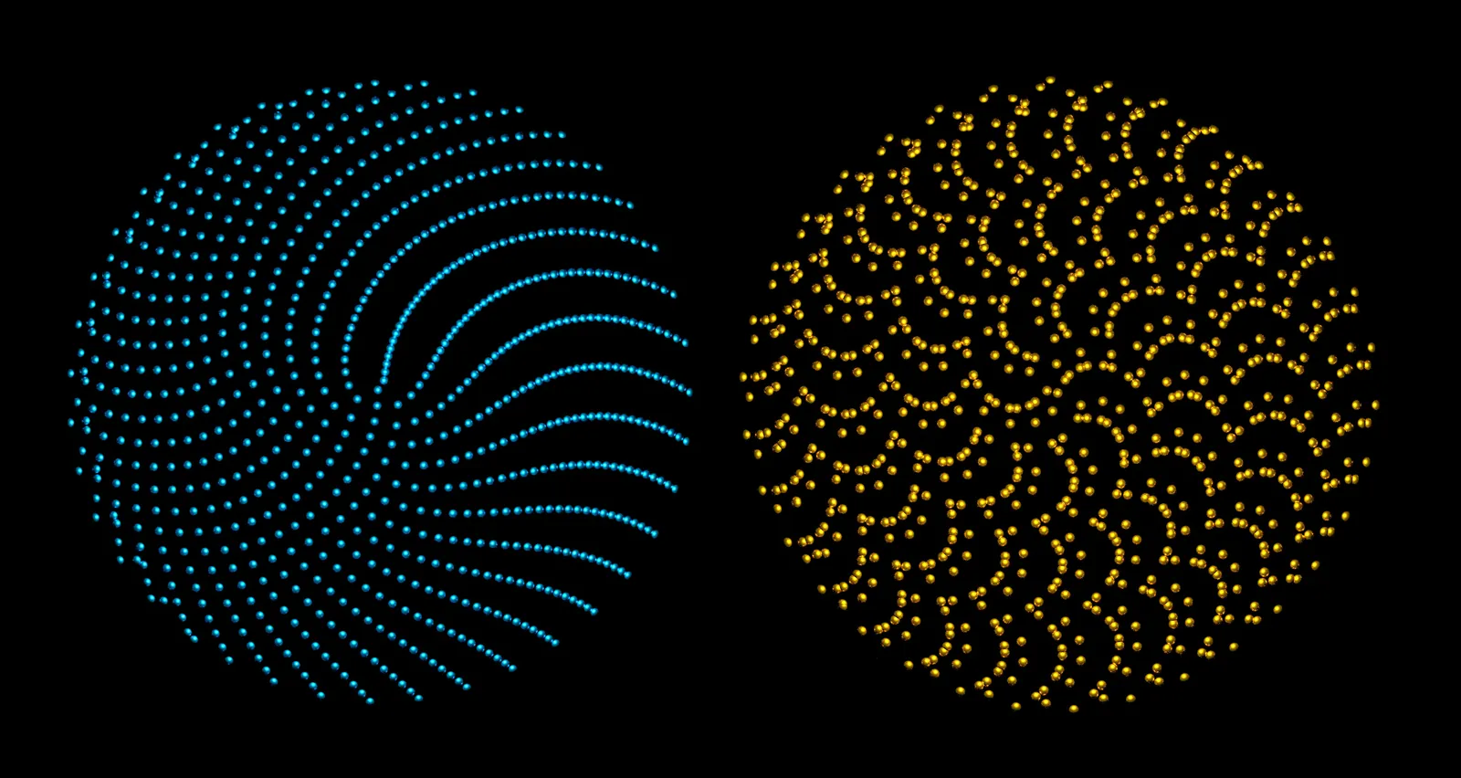 Navigating the Nuances of Quantum and Conventional Computing Frameworks