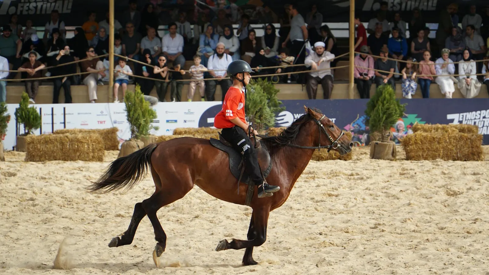 Cultural Significance of Horse Racing and Wrestling in Naadam Festival
