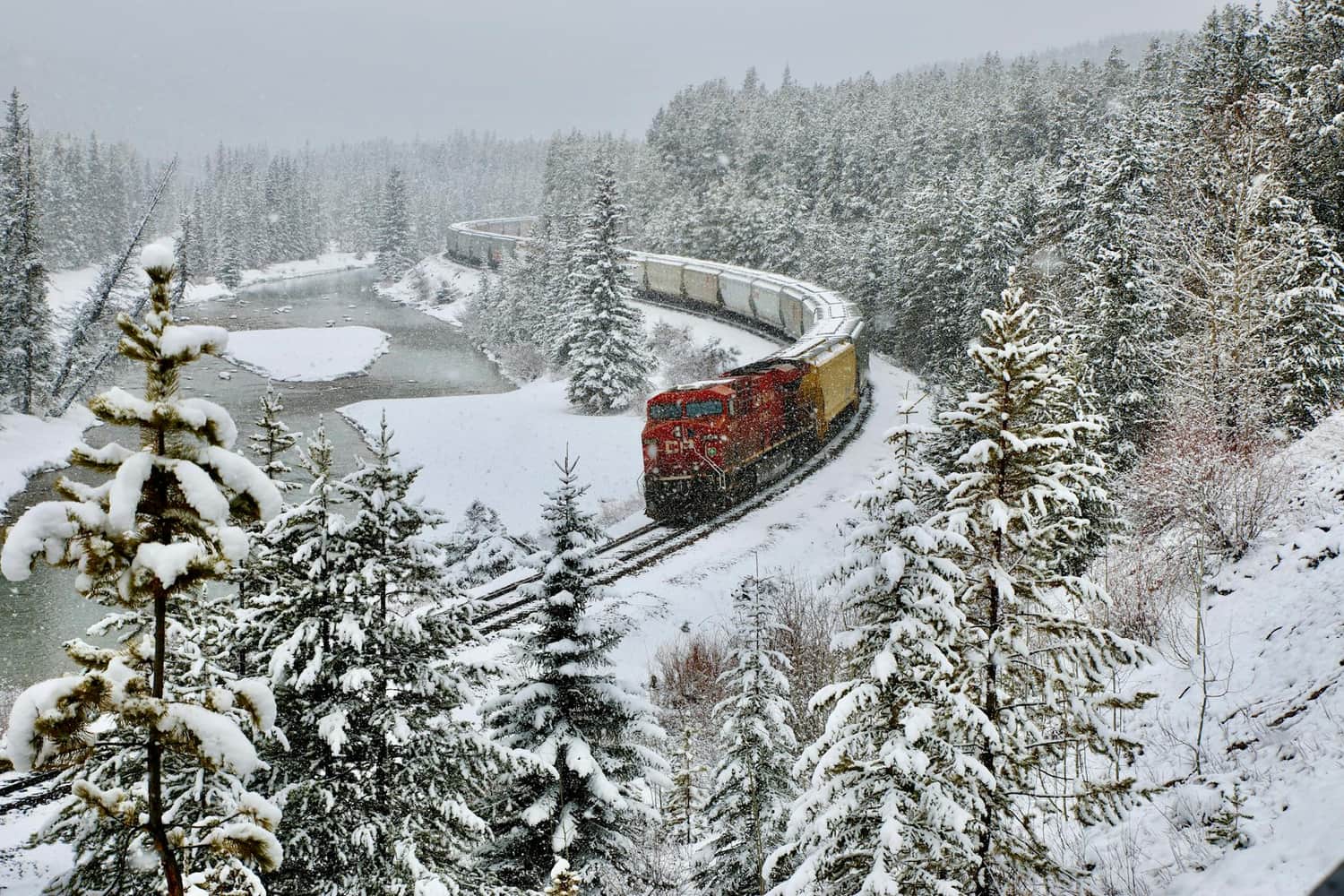Experience Canada's Rockies by Train: A Journey of Scenic Wonders